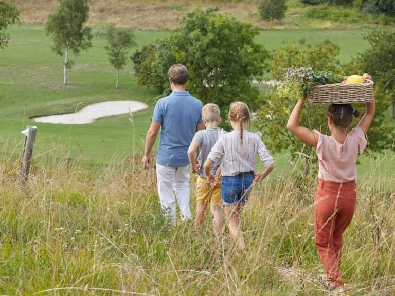 Le sentier decouverte balade nature chalet maison baie de somme e1669192810332