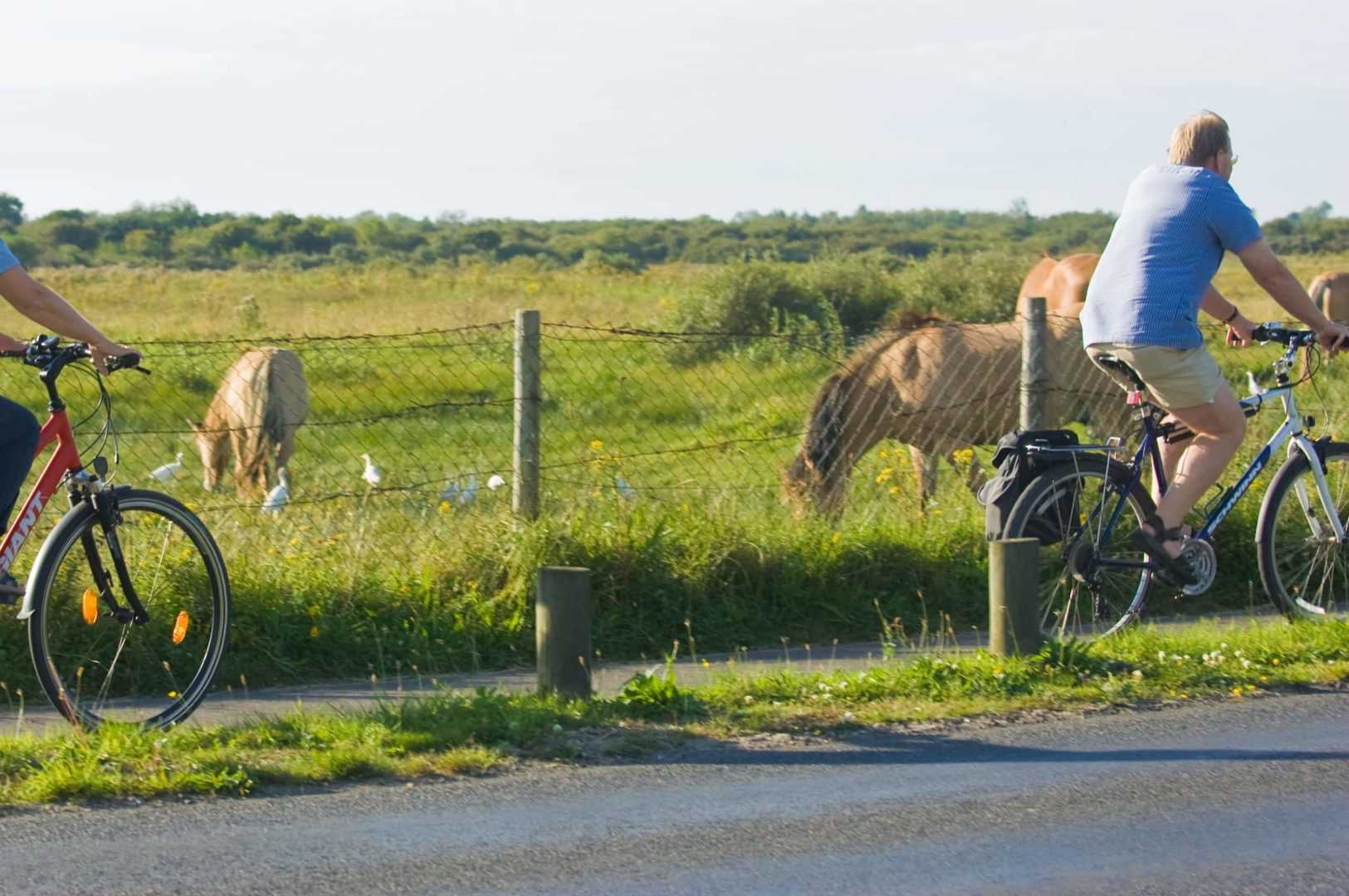 balade velo chalet maison baie de somme scaled