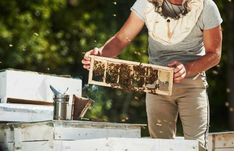 iStock 1212762264 scaled