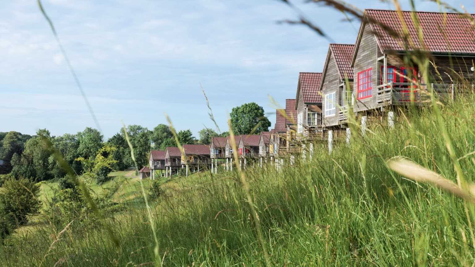 Visuel entete home net scaled