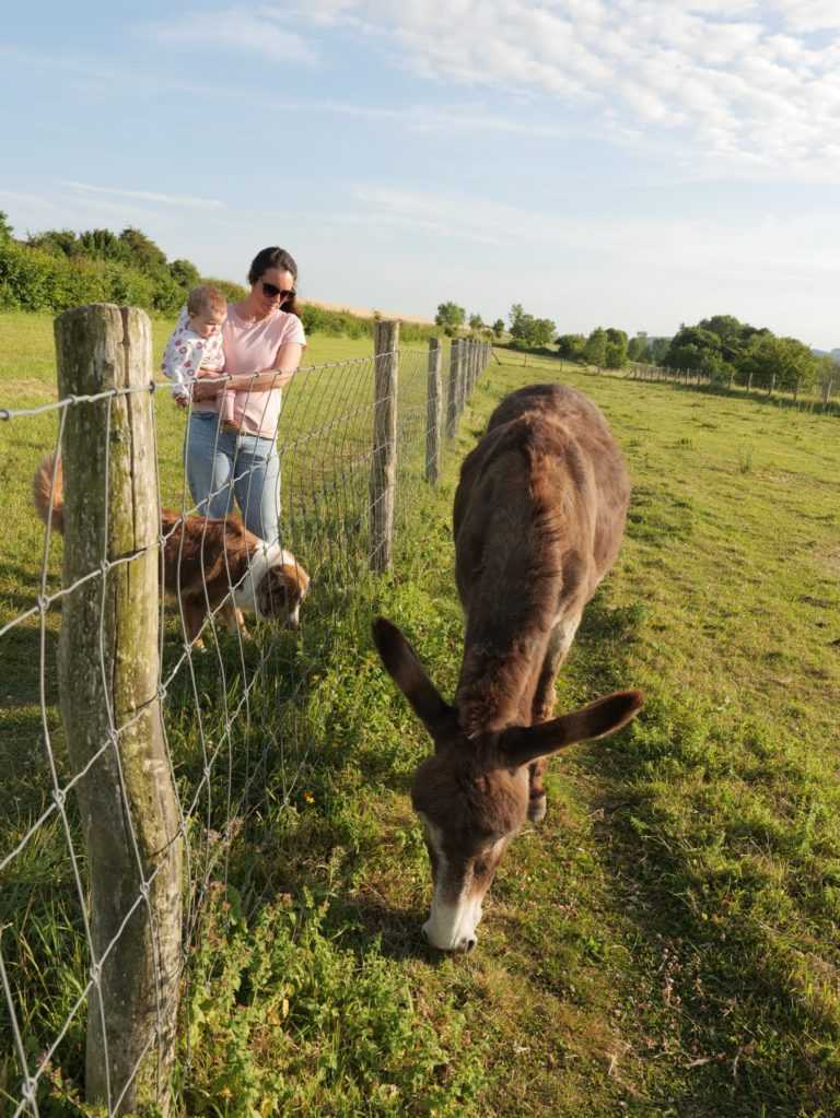 galerie jardin ane chalet maison baie de somme scaled e1669200957524
